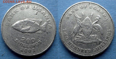 Уганда - 200 шиллингов 2003 года (Фауна) до 29.02 - Уганда 200 шиллингов, 2003