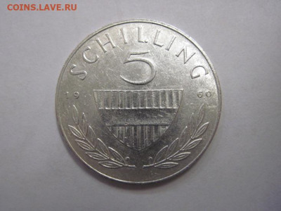 5 шиллингов Австрия 1960 до 05.03.20 - IMG_8076.JPG