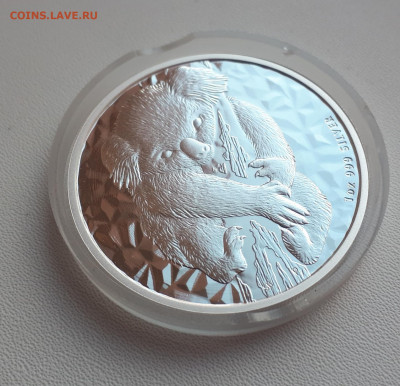 Серебро Австралия 1 доллар, 2007 Коала до 13.04 - 1 (9)