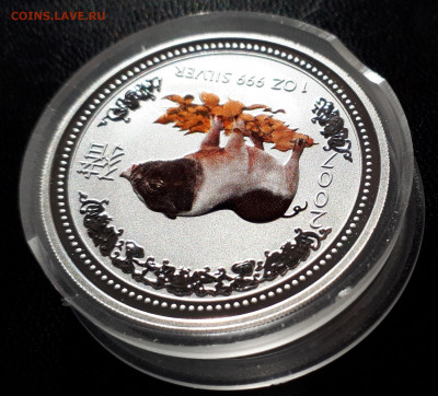 Серебро Австралия 1 доллар, 2007 Год свиньи.Цветная до 15.04 - 1 (43)