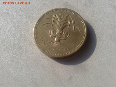 Великобритания 1 фунт, 1985 до 25.04.20 20:00 МСК - Фото0136