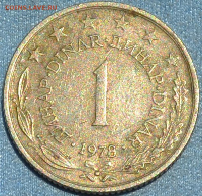 Югославия 1 динар 1978. 10. 05. 2020 в 22 - 00. - DSC_0725.JPG