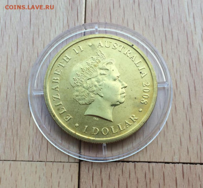 Австралия 1$ доллар 2008 Серый кенгуру Животные Фауна - avstralija_1_dollar_2008_seryj_kenguru_zhivotnye_fauna (1)