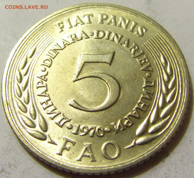 5 динар 1970 ФАО Югославия №2 06.06.2020 22:00 МСК - CIMG8949.JPG