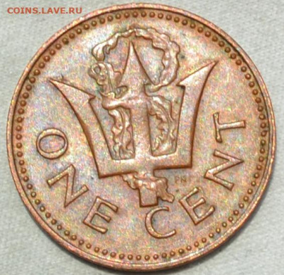 Барбадос 1 цент 1973. 11. 06. 2020. в 22 - 00. - DSC_0241.JPG
