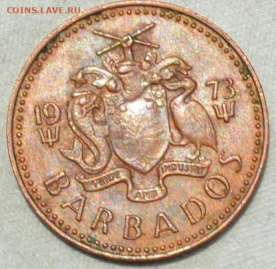 Барбадос 1 цент 1973. 11. 06. 2020. в 22 - 00. - DSC_0242.JPG
