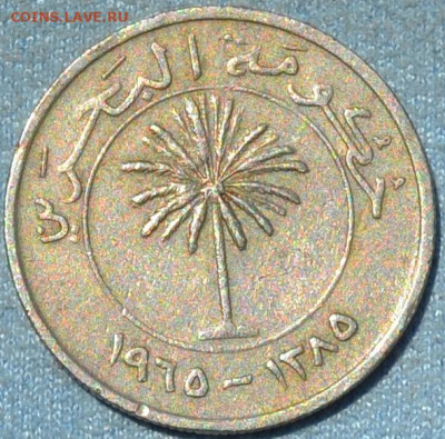 Бахрейн 50  фил 1965. 01. 07. 2020 в 22 - 00. - DSC_0375.JPG