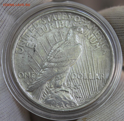 1 доллар 1922 года "Америка" - IMG_4178.JPG