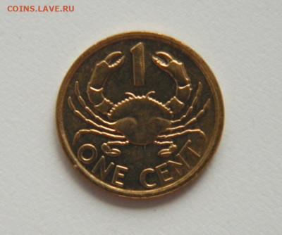 Сейшелы 1 цент 2014 г. (Фауна) до 22.07.20 - DSCN0033.JPG