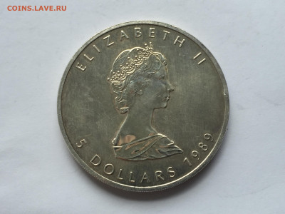 5 долларов 1989 с 200 серебро 9999 - IMG_3831.JPG