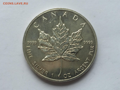 5 долларов 1989 с 200 серебро 9999 - IMG_3830.JPG
