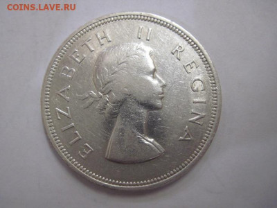 2 ½ шиллинга 1953 ЮАР до 28.08.20 - IMG_4936.JPG