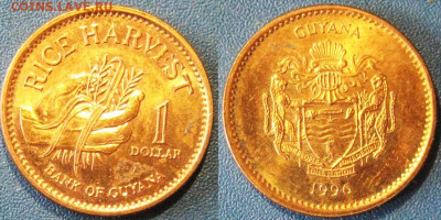 Гайана 1 доллар 1996 год До 10-09 В22-00 мск - Гайана 1 доллар