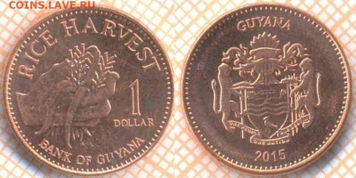 Гайана 1 доллар 2015 г., до 19.09.2020 г. 22.00 по Москве - Гайана 1 доллар 2015 1467