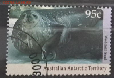 Авст Антаркт территория морская фауна 1м до 09 10 - 63