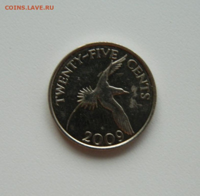Бермудские острова 25 центов 2009 г. (Фауна) до 19.10.20 - DSCN1824.JPG