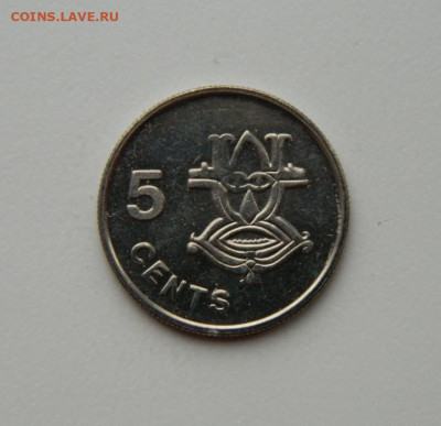 Соломоновы острова 5 центов 1996 г.(без обращен) до 12.11.20 - DSCN3220.JPG