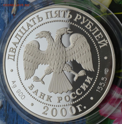 25 рублей Суворов - DSC_0073.JPG