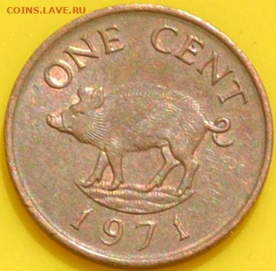 Бермудские острова 1 цент 1971. 21. 11. 2020 в 22 - 00. - DSC_0055.JPG
