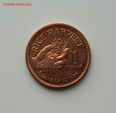 Гайана 1 доллар 2002 г. (без обращения). до 01.12.20 - DSCN3587.JPG