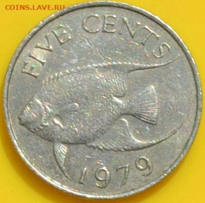 Бермудские острова 5 центов 1979. 29. 11. 2020 в 22 - 00. - DSC_0107.JPG