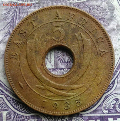 Восточная Британская африка 5 центов 1935 года 11.12.2020 - IMG_20201208_090721