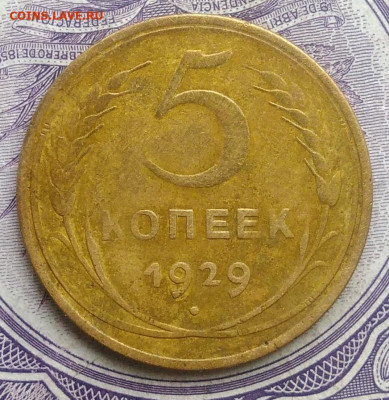 5 копеек 1929 года 11.12.2020 - IMG_20201123_142914