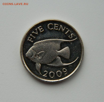 Бермудские острова 5 центов 2009 г. (Фауна). до 24.12.20 - DSCN4398.JPG