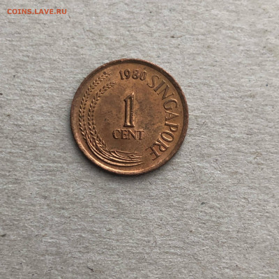 Сингапур 1 цент 1980, до 28.01. - BArBbzJ2b_U