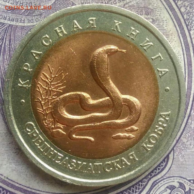 10 рублей 1992 года среднеазиатская кобра до 10.02.2021 - IMG_20210207_174807