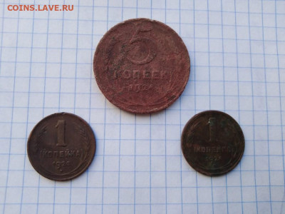 Пятак и копейки 1924 г.(медь) - 3 монеты - 2