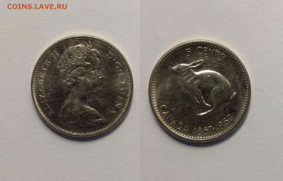 Канада 5 центов 1967 года, заяц - 17.03 22:00мск - IMG_20210124_095655