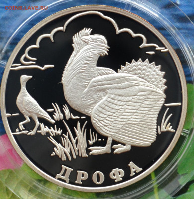 2 рубля КК 2004 - DSC_0122.JPG