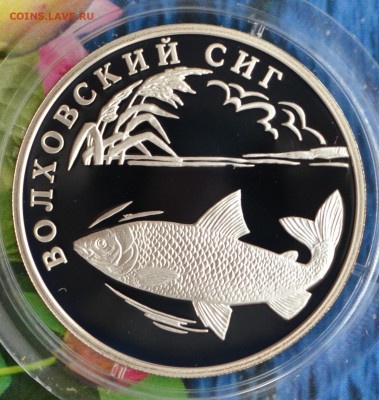 2 рубля КК 2005 - DSC_0158.JPG