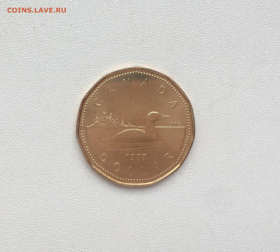 Канада 1 доллар 1987 Черноклювая Гагра Утка фауна птица - IMG_4875.JPG