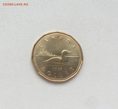 Канада 1 доллар 1987 Черноклювая Гагра Утка фауна птица - IMG_4876.JPG