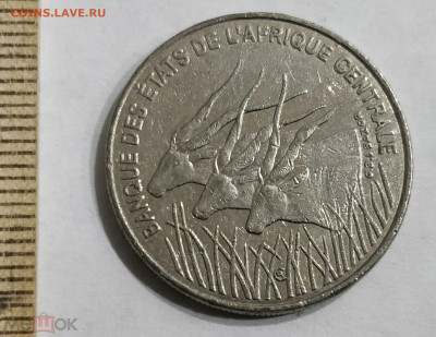 Центральная Африка (BEAC) 100 франков 1998 (антилопы) 11.05 - 148077132.1