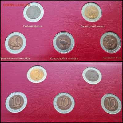 Набор Красной книги 15 монет, 1991-1994г. До 17.05 - IMG_20210507_154449