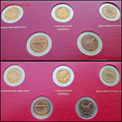 Набор Красной книги 15 монет, 1991-1994г. До 17.05 - IMG_20210507_154447