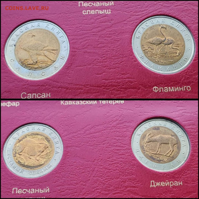 Набор Красной книги 15 монет, 1991-1994г. До 17.05 - IMG_20210507_154442