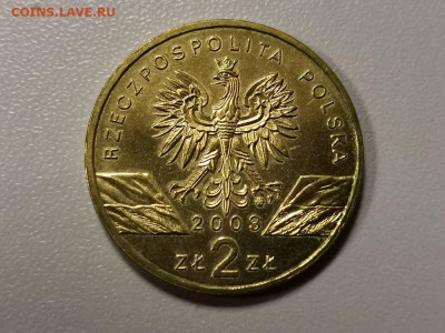 Польша 2 злотых 2003г -Европейский угорь, до 24.05 - Я Польша Угорь-2