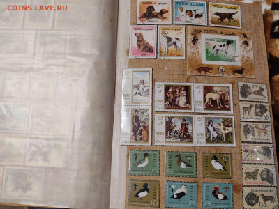 Коллекция иностран. марок по теме "Охота, рыбалка, животные" - IMG_20210608_201551_thumb