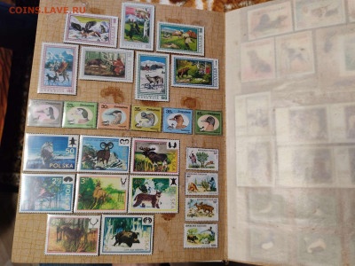 Коллекция иностран. марок по теме "Охота, рыбалка, животные" - IMG_20210608_201525_thumb
