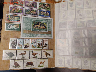 Коллекция иностран. марок по теме "Охота, рыбалка, животные" - IMG_20210608_201237_thumb