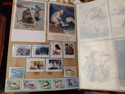 Коллекция иностран. марок по теме "Охота, рыбалка, животные" - IMG_20210608_202337_thumb
