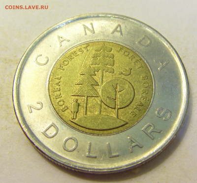 2 доллара 2011 тайга Канада №1 27.07.2021 22:00 МСК - CIMG0617.JPG