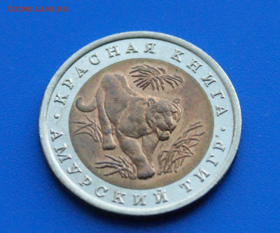 КК 10 рублей 1992 г. Амурский тигр до 14.10 - 30.1.2.JPG