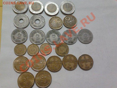 Монеты разных стран и номиналов (пополняемая). - 111 египет