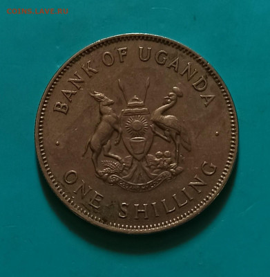Уганда 1 шиллинг 1975г до 29.10.21 - IMG_20211021_141639