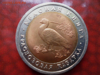 10 рублей 1992 Краснозобая казарка - SAM_3872.JPG